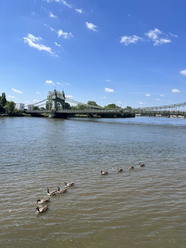 Serviced Apartments near Hammersmith Bridge in West London
